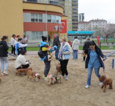 Can dostlarımızın özgürce koşup oynayacağı; patipark açıldı!