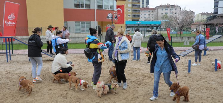 Can dostlarımızın özgürce koşup oynayacağı; patipark açıldı!